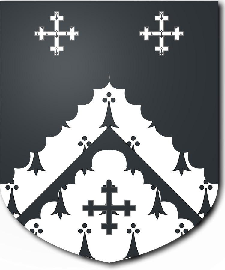 Shield image