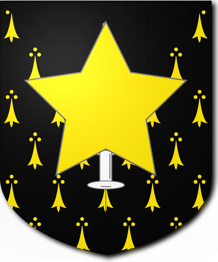 Shield image