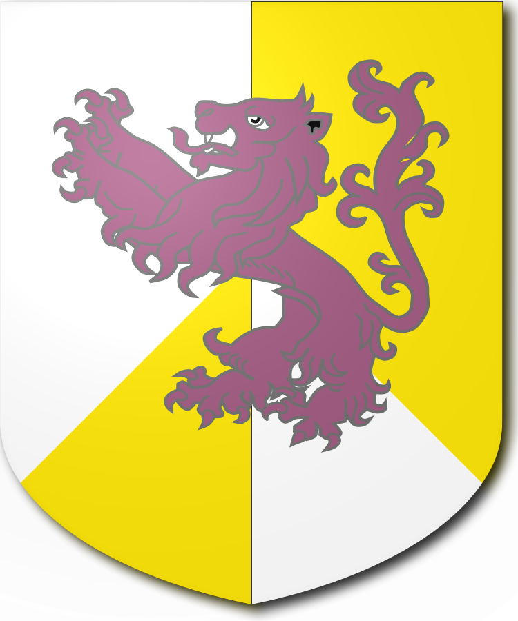 Shield image