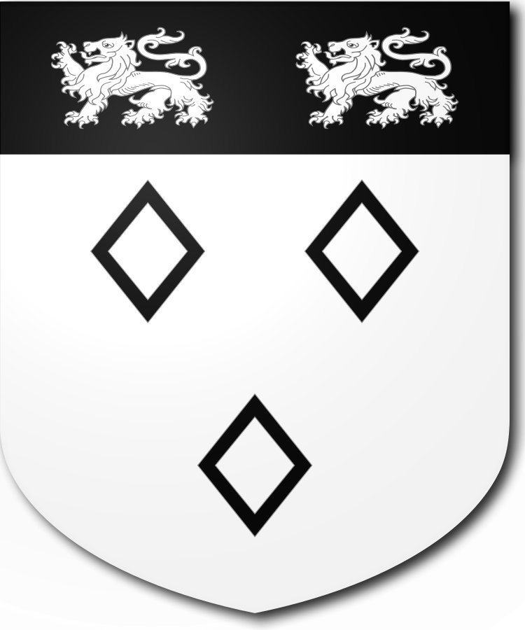 Shield image