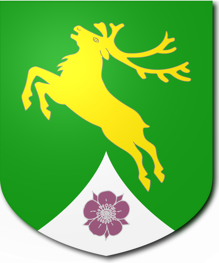 Shield image