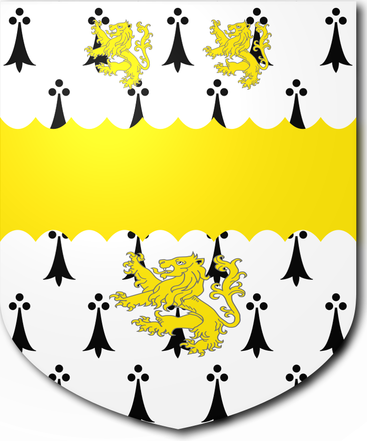 Shield image