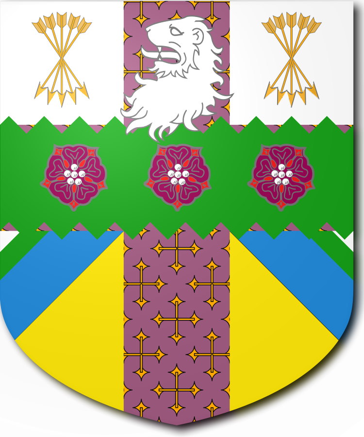 Shield image