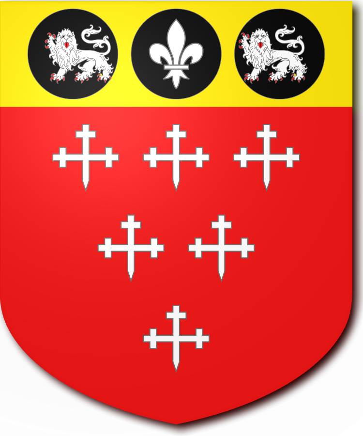 Shield image