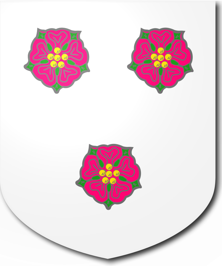 Shield image