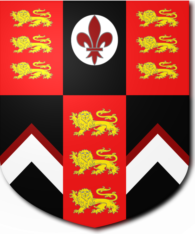 Shield image