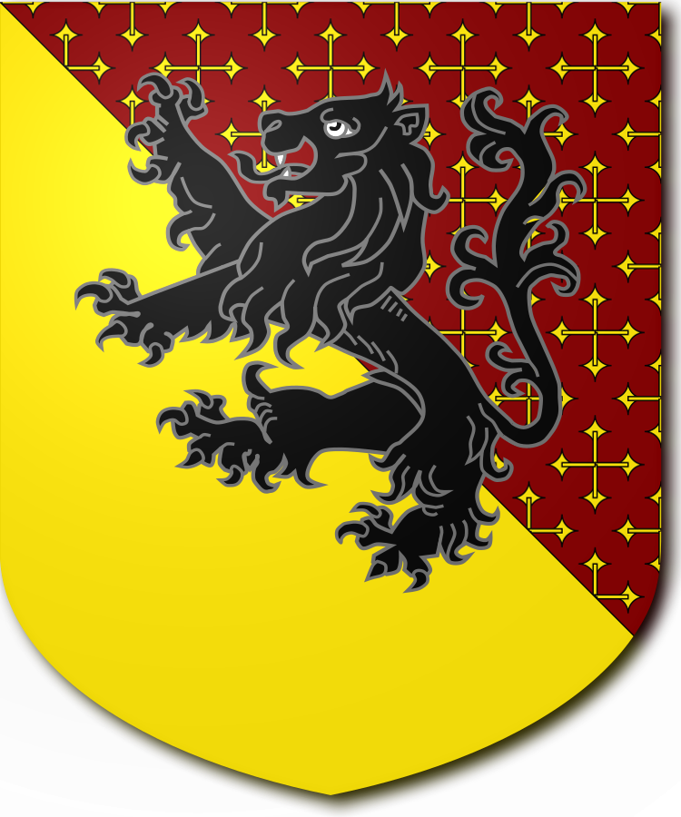 Shield image