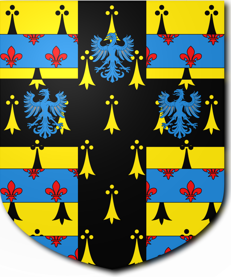 Shield image