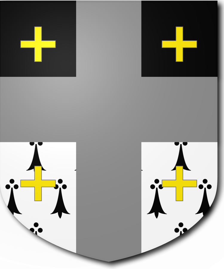 Shield image