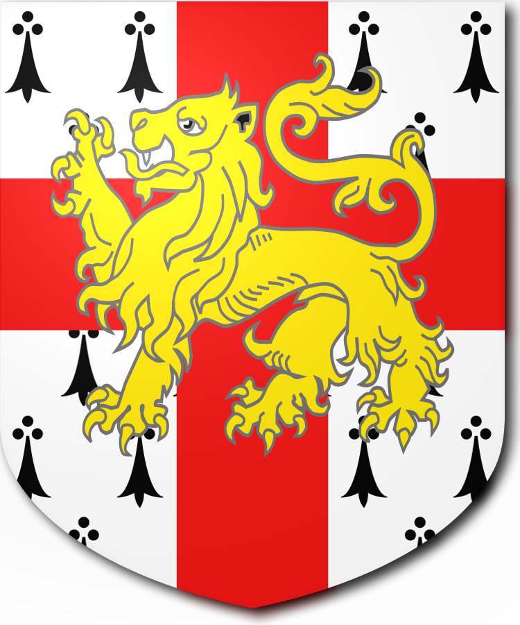 Shield image