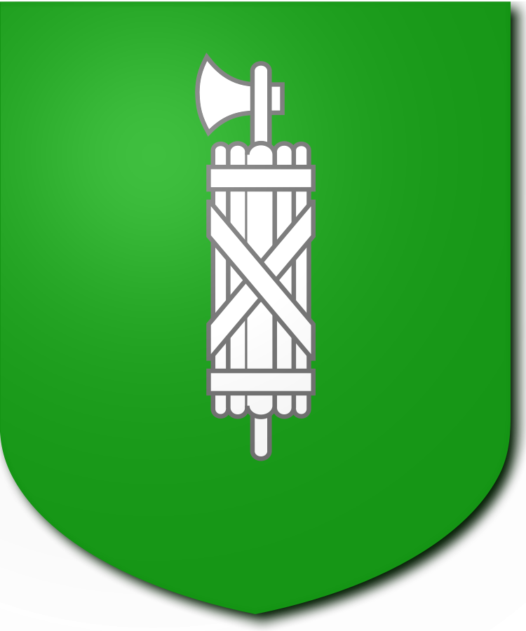 Shield image