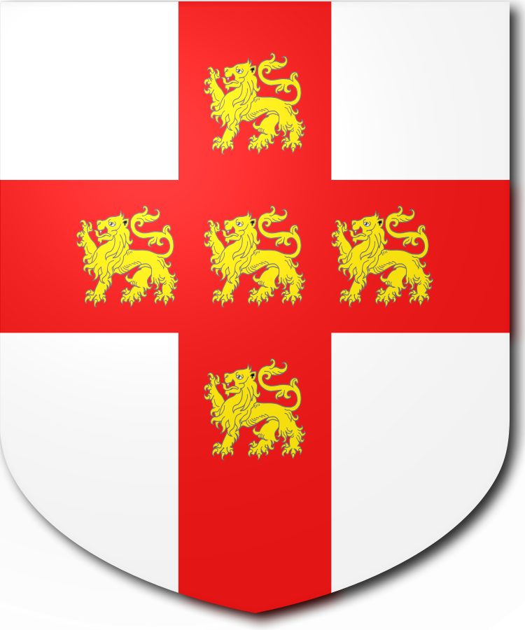 Shield image