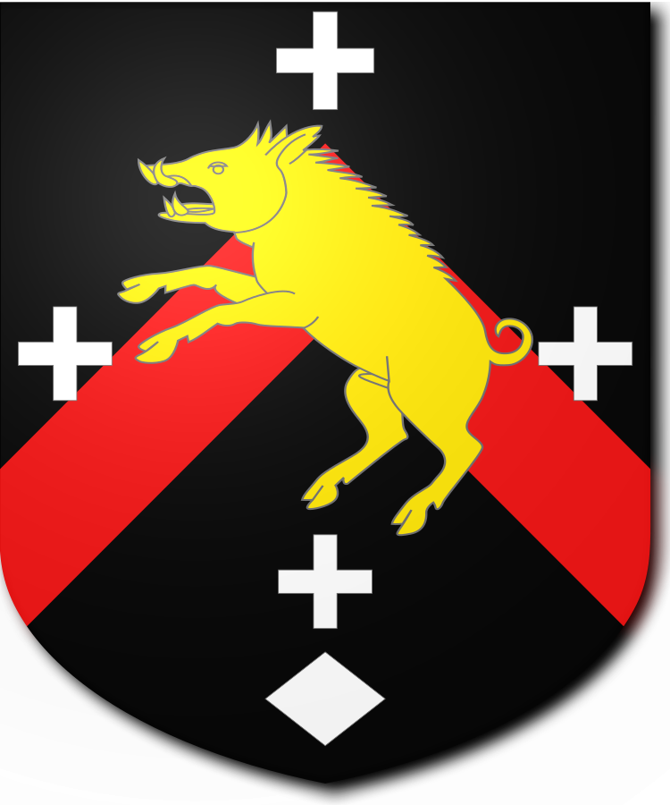 Shield image