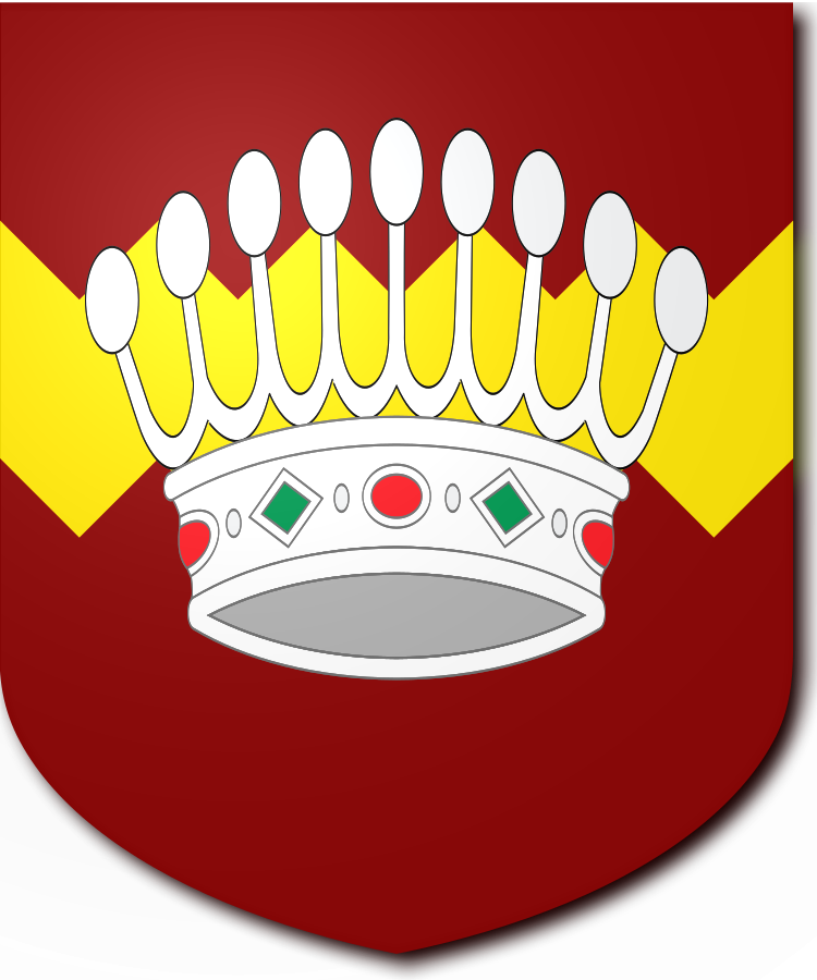 Shield image