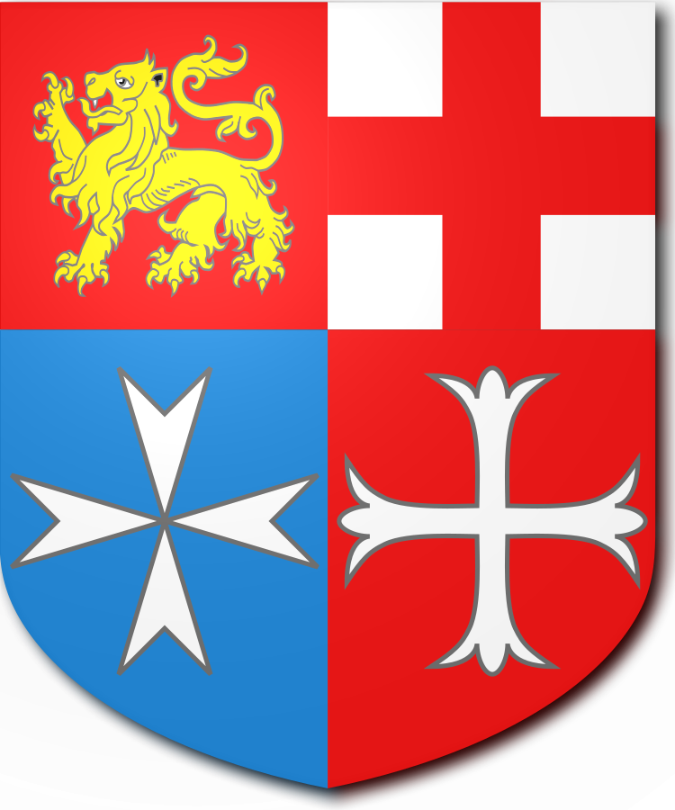 Shield image