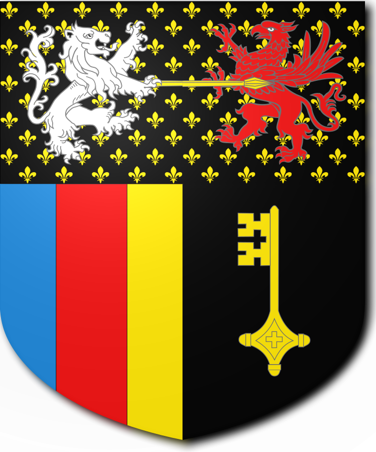 Shield image