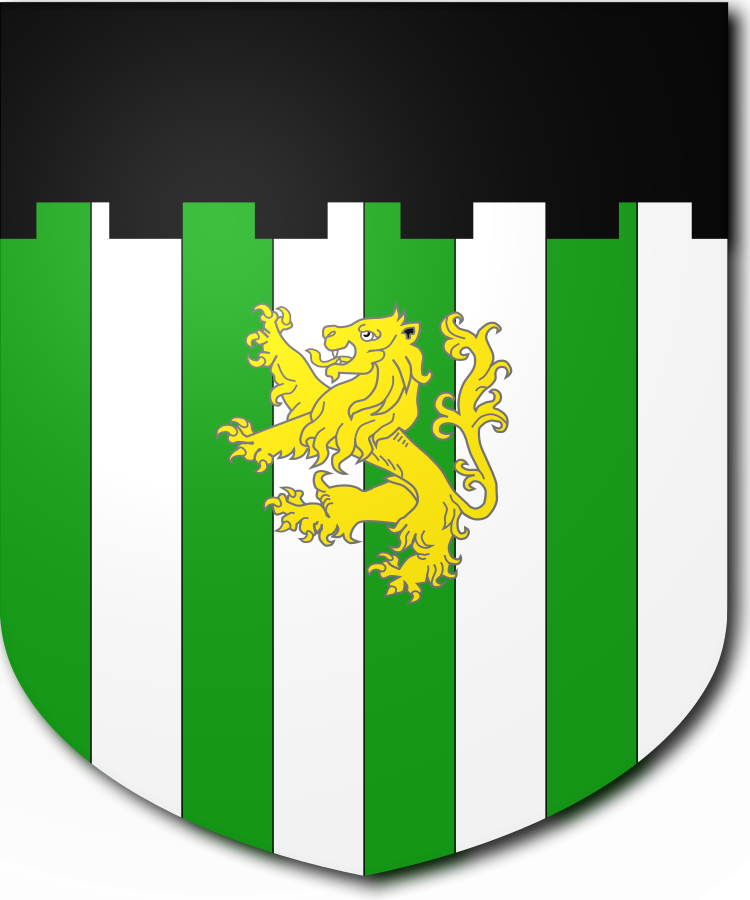 Shield image