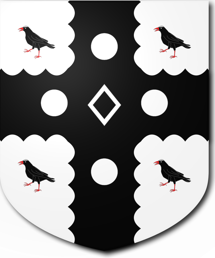 Shield image