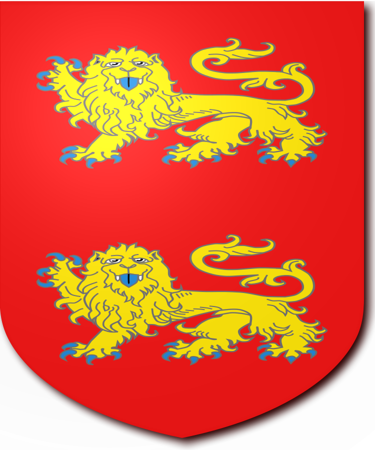 Shield image