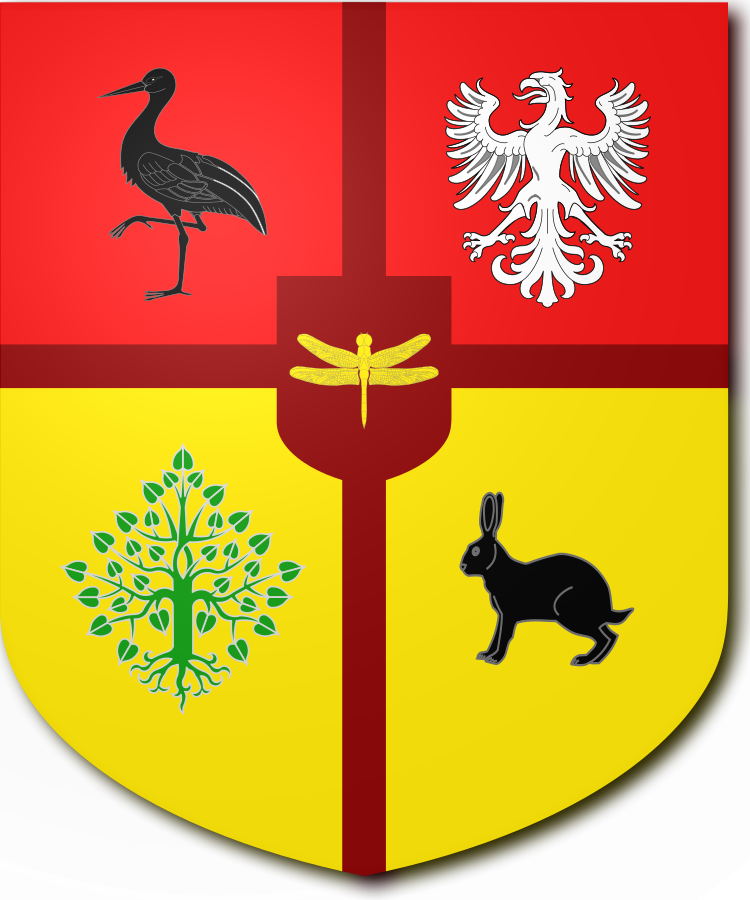 Shield image