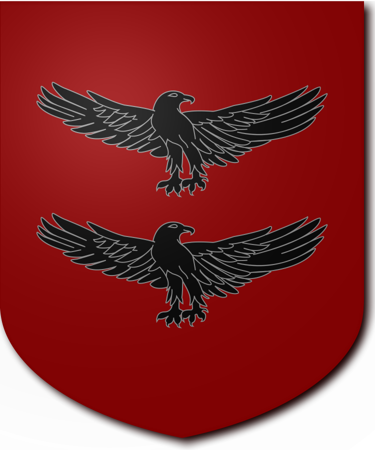 Shield image