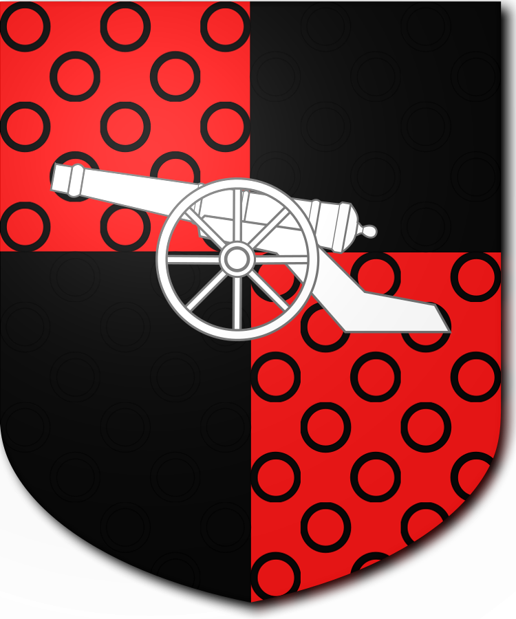 Shield image