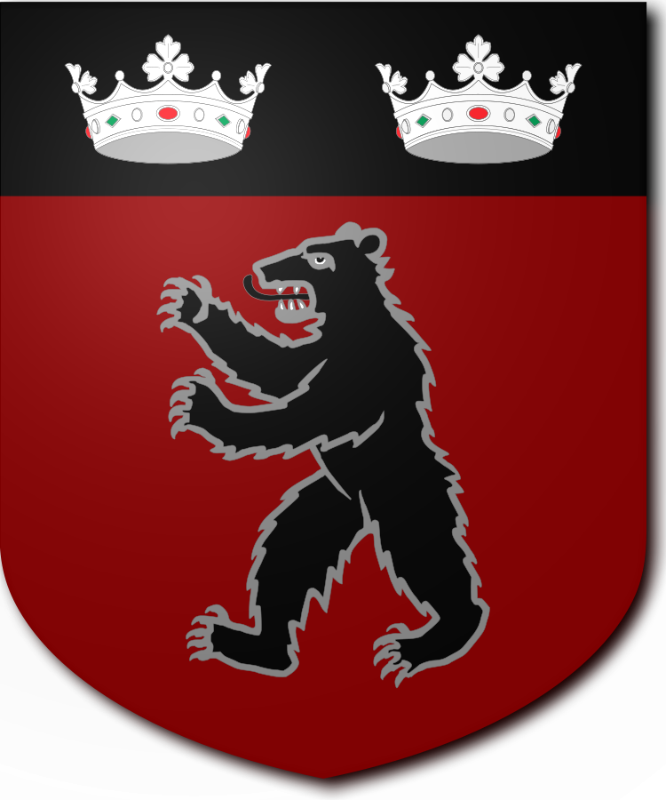 Shield image