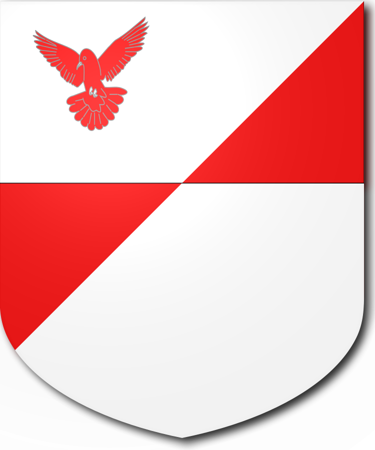 Shield image