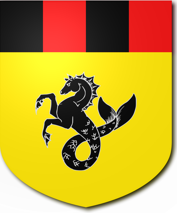 Shield image