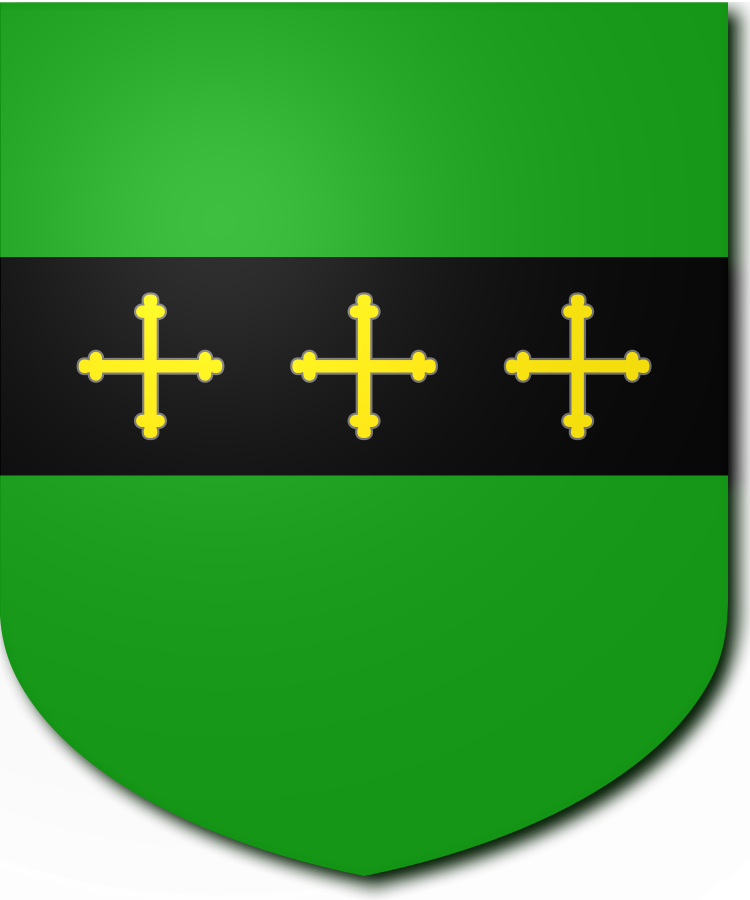 Shield image