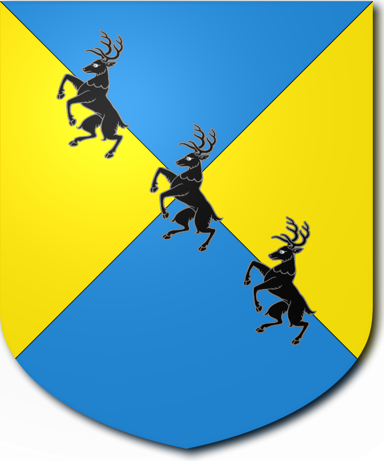 Shield image