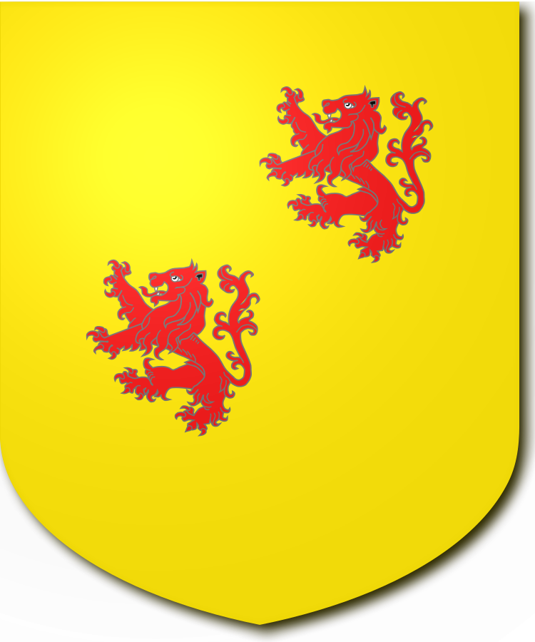 Shield image