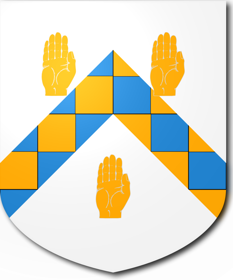 Shield image