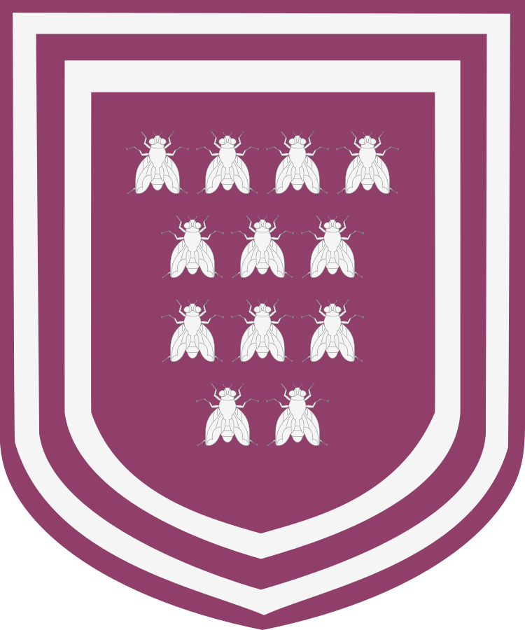 Shield image