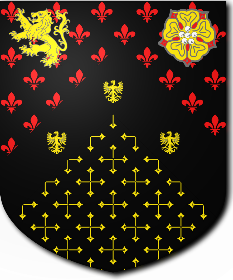 Shield image