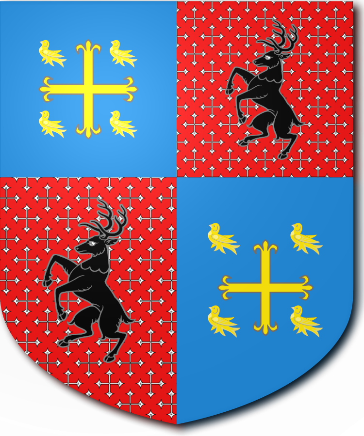 Shield image