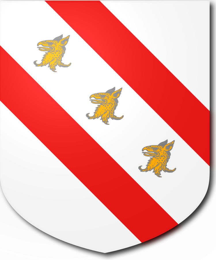 Shield image