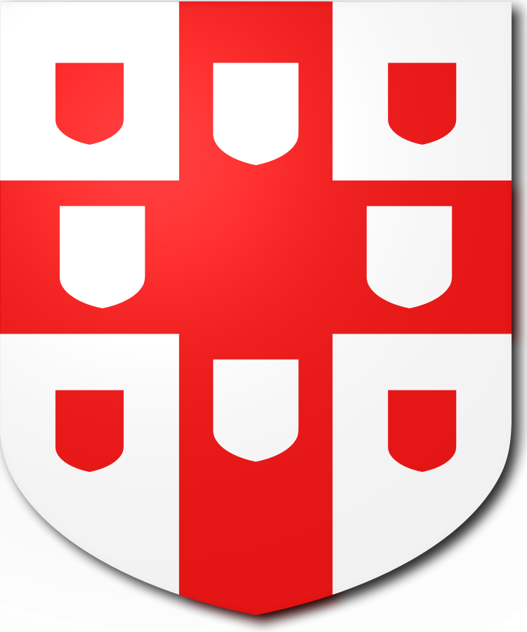 Shield image