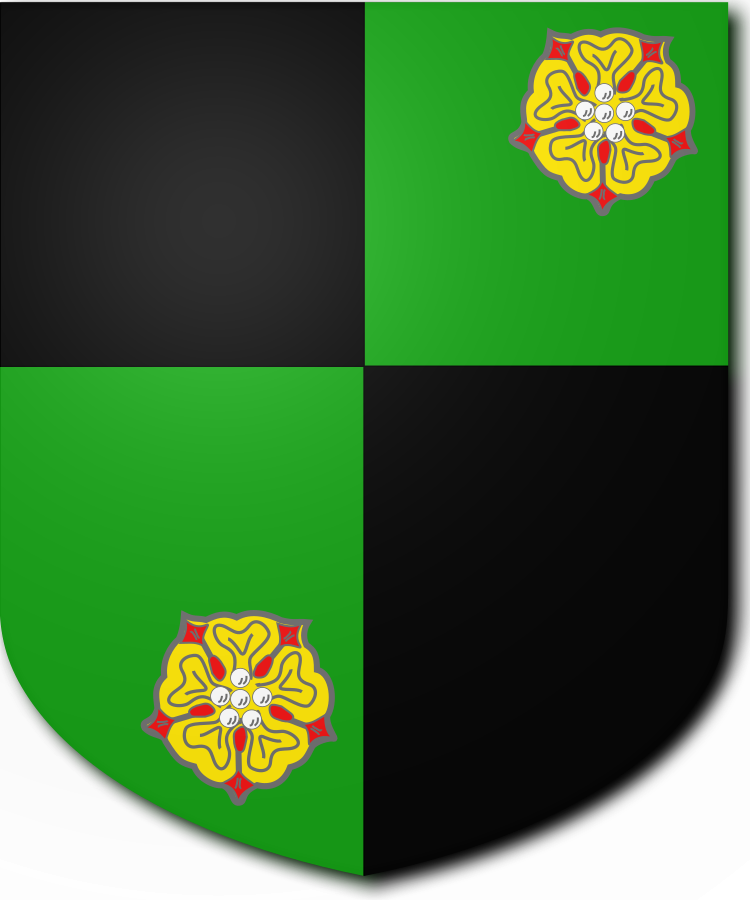 Shield image