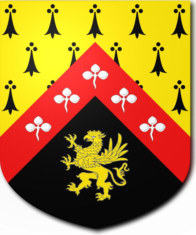 Shield image