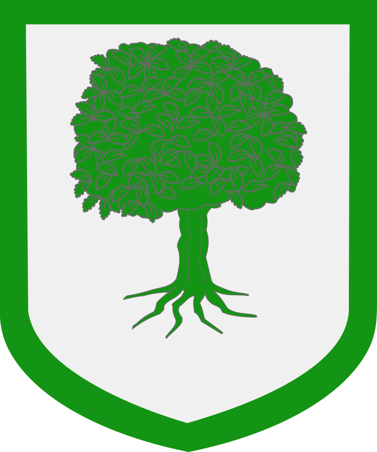 Shield image