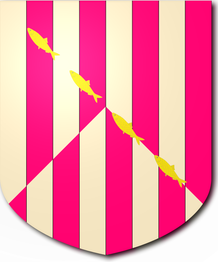 Shield image