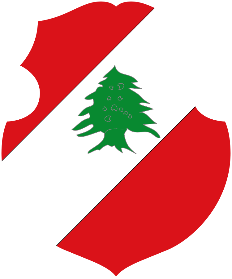 Shield image