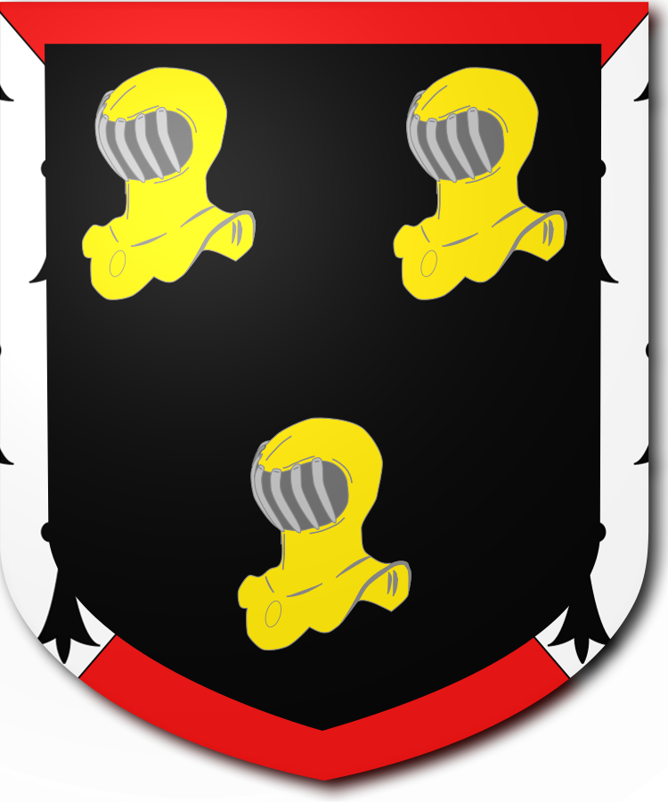 Shield image