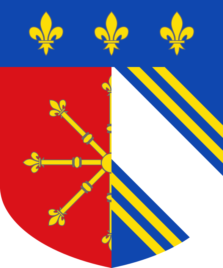 Shield image