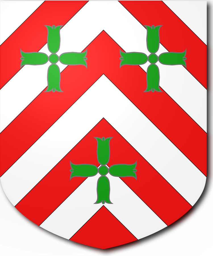 Shield image