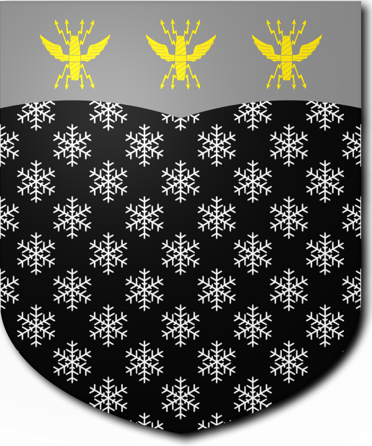 Shield image