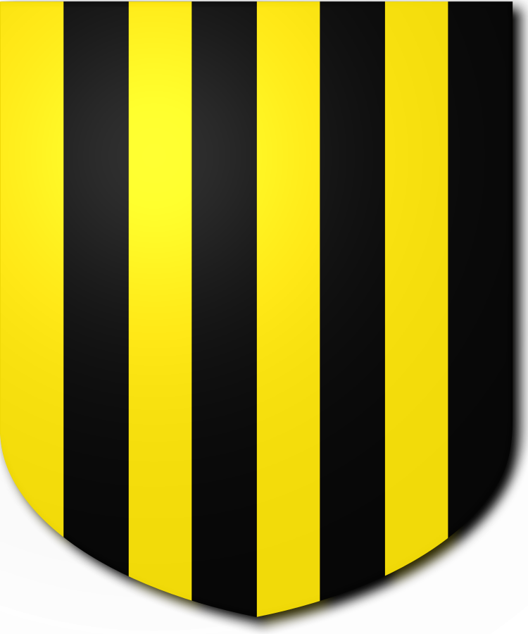 Shield image