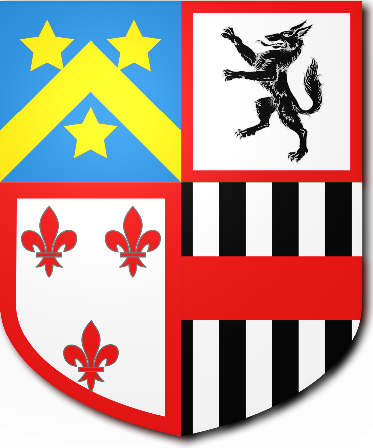 Shield image