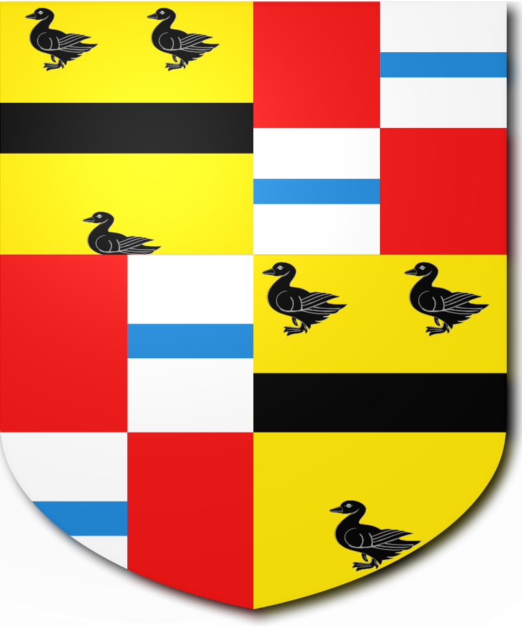 Shield image